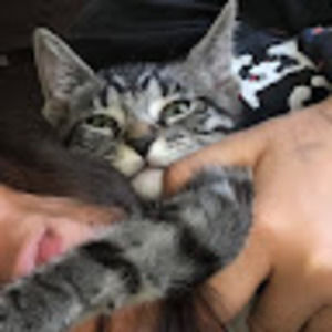 Meet your Posher, Shm3e